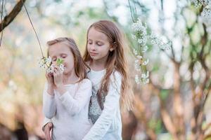 Adorable little girls in blooming cherry tree garden on spring day photo