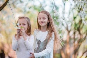 Adorable little girls in blooming cherry tree garden on spring day photo