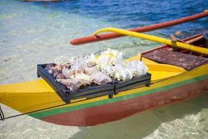 Beautiful colorful seashells in basin on a tropical island photo