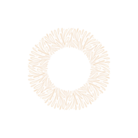 Golden decorative Circle floral Frame. Botanical round Wreath with branches, herbs, plants, and leaves. Rustic wedding border png