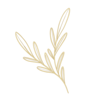 Golden elegant branch. Outline Gold leaves for wedding, holidays, invitation, greeting card decoration png