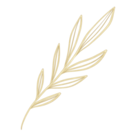 Golden elegant branch. Outline Gold leaves for wedding, holidays, invitation, greeting card decoration png