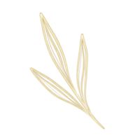 goldener eleganter Zweig. Umrissgoldblätter für Hochzeit, Feiertage, Einladung, Grußkartendekoration png
