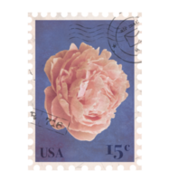 bloemen wijnoogst port stempel. retro afdrukbare post postzegel met pioen bloem. esthetisch uitknippen scrapbooking elementen voor bruiloft uitnodigingen, notitieboekjes, tijdschriften, groet kaarten, omhulsel papier png