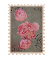 Floral vintage Postage Stamp. Retro Printable post stamp with Peony flower. Aesthetic cutout Scrapbooking elements for wedding invitations, notebooks, journals, greeting cards, wrapping paper png