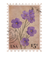 Floral vintage Postage Stamp. Retro Printable post stamp with flowers. Aesthetic cutout Scrapbooking elements for wedding invitations, notebooks, journals, greeting cards, wrapping paper png