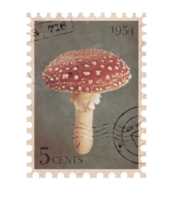 Vintage Postage Stamp with red mushroom. Retro Printable post stamp. Aesthetic cutout Scrapbooking elements for notebooks, journals, greeting cards, wrapping paper png