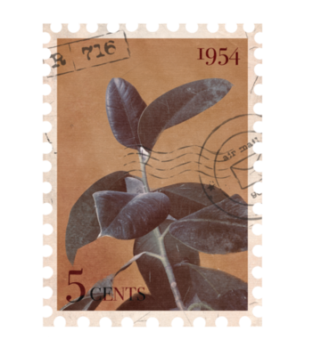 Page 2 | Vintage Postage Stamp PNGs for Free Download