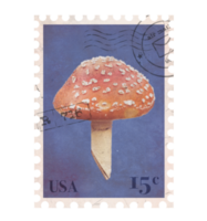 Vintage Postage Stamp with red mushroom. Retro Printable post stamp. Aesthetic cutout Scrapbooking elements for notebooks, journals, greeting cards, wrapping paper png