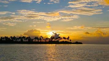 donker silhouetten van palm bomen en verbazingwekkend bewolkt lucht Aan zonsondergang Bij tropisch eiland in Indisch oceaan video