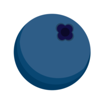 Blueberry fruit icon illustration png