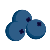 Blueberry fruit icon illustration png