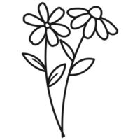 rama floral dibujada a mano con hojas y flores png