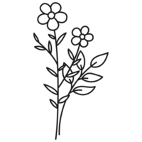 Floral branch hand drawn with leaves and flowers png