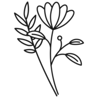 Blumenzweig handgezeichnet mit Blättern und Blumen png