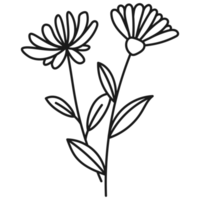 branche florale dessinée à la main avec des feuilles et des fleurs png