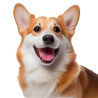 cute and happy dog on a transparent background. AI gen png