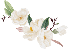watercolor white magnolia flower and leaf bouquet clipart png