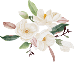 flor de magnólia branca aquarela e buquê de folhas clipart png
