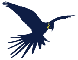 Flying Macaw Bird Silhouette for Logo, Pictogram, Art Illustration, Website or Graphic Design Element. Format PNG