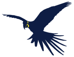 Flying Macaw Bird Silhouette for Logo, Pictogram, Art Illustration, Website or Graphic Design Element. Format PNG