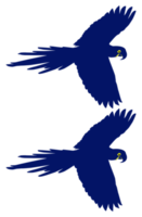 Flying Macaw Bird Silhouette for Logo, Pictogram, Art Illustration, Website or Graphic Design Element. Format PNG