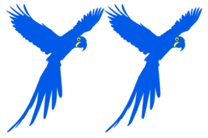 Flying Macaw Bird Silhouette for Logo, Pictogram, Art Illustration, Website or Graphic Design Element. Format PNG