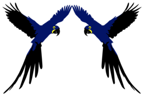 Flying Macaw Bird Silhouette for Logo, Pictogram, Art Illustration, Website or Graphic Design Element. Format PNG