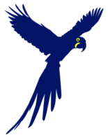 Flying Macaw Bird Silhouette for Logo, Pictogram, Art Illustration, Website or Graphic Design Element. Format PNG