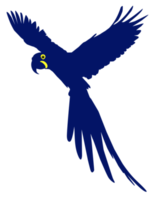 Flying Macaw Bird Silhouette for Logo, Pictogram, Art Illustration, Website or Graphic Design Element. Format PNG