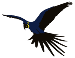 Flying Macaw Bird Silhouette for Logo, Pictogram, Art Illustration, Website or Graphic Design Element. Format PNG