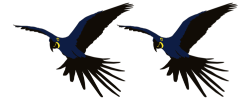 silhouette d'oiseau ara volant pour logo, pictogramme, illustration d'art, site Web ou élément de conception graphique. formatpng png