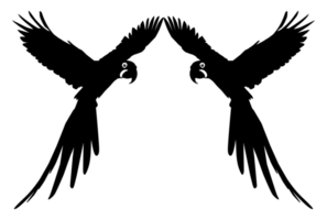 silhouette d'oiseau ara volant pour logo, pictogramme, illustration d'art, site Web ou élément de conception graphique. formatpng png