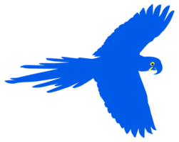 Flying Macaw Bird Silhouette for Logo, Pictogram, Art Illustration, Website or Graphic Design Element. Format PNG