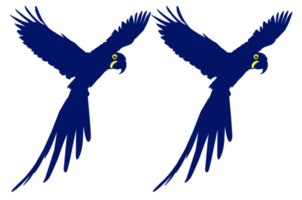 silhueta de pássaro arara voadora para logotipo, pictograma, ilustração de arte, site ou elemento de design gráfico. formato png