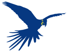 Flying Macaw Bird Silhouette for Logo, Pictogram, Art Illustration, Website or Graphic Design Element. Format PNG