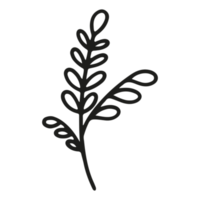 forme d'élément floral abstrait sur fond transparent png