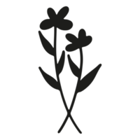 abstrakte Blumenelementform auf transparentem Hintergrund png