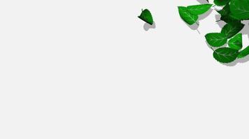 Green Leaves Falling From Right Side on Floor, 3D Rendering, Luma Matte Selection video