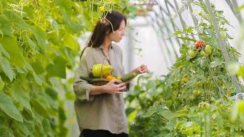 giovane donna con cesto di verde e verdure in serra. tempo di raccolta. video