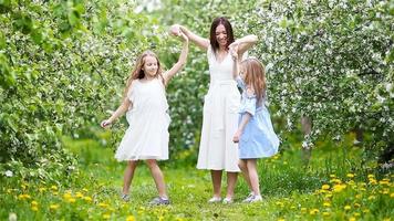 Adorable little girls with young mother in blooming cherry garden on beautiful spring day video