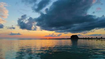 Dark silhouettes of palm trees and amazing cloudy sky on sunset at tropical island in Indian Ocean video