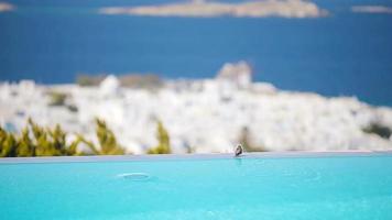Cute small bird on the edge of an infinity pool. View from the poolside in luxury hotel at Mykonos, Greece, Europe