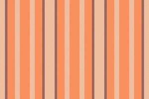 Vertical lines stripe background. Vector stripes pattern seamless fabric texture. Geometric striped line abstract design.