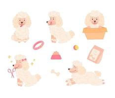 conjunto de caniche blanco con diferentes emociones y poses y juguetes para perros en un fondo aislado vector