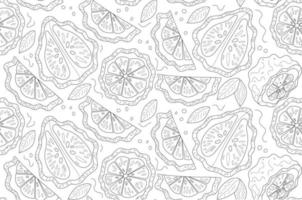 pattern whole and  piece of bergamot on white backgrounds vector