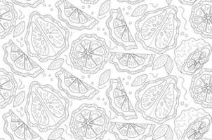 pattern whole and  piece of bergamot on white backgrounds vector