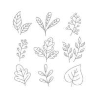 set of hand drawn summer and autumn leaves line vector illustration