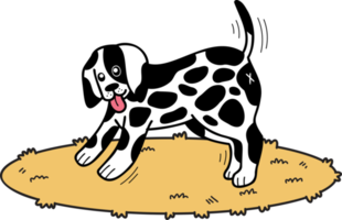 Hand Drawn Dalmatian Dog walking illustration in doodle style png