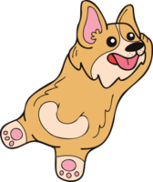 hand dragen sovande corgi hund illustration i klotter stil png